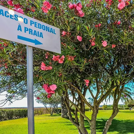 Torralta 601 * Alvor