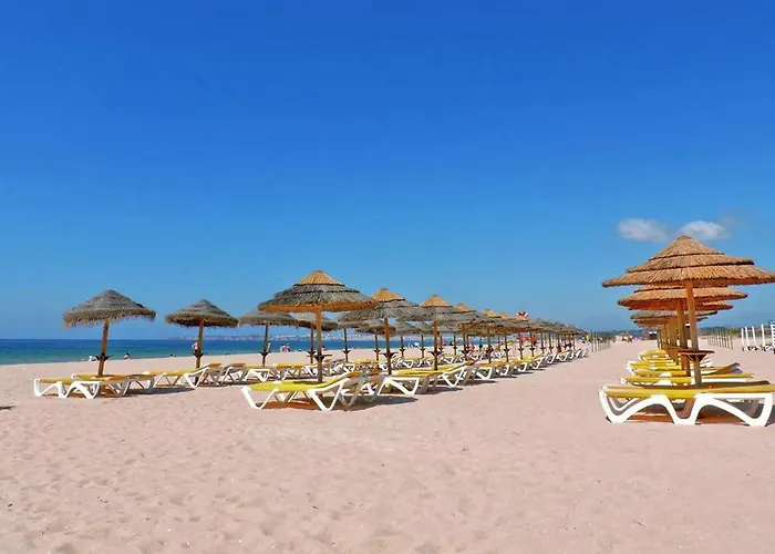 Torralta 601 * אלבור