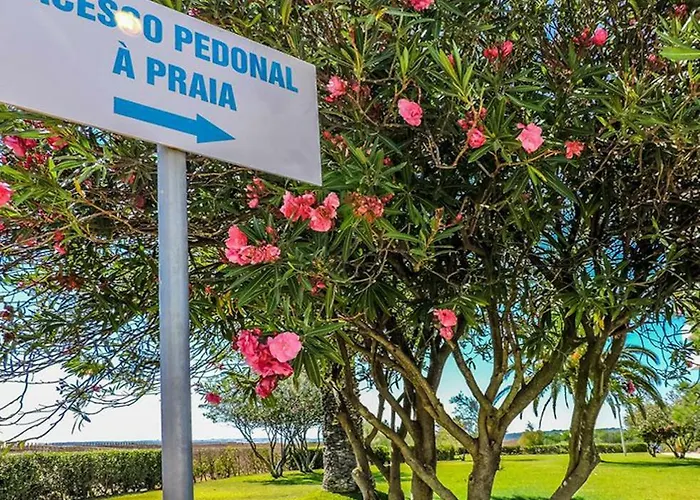 Torralta 601 * אלבור