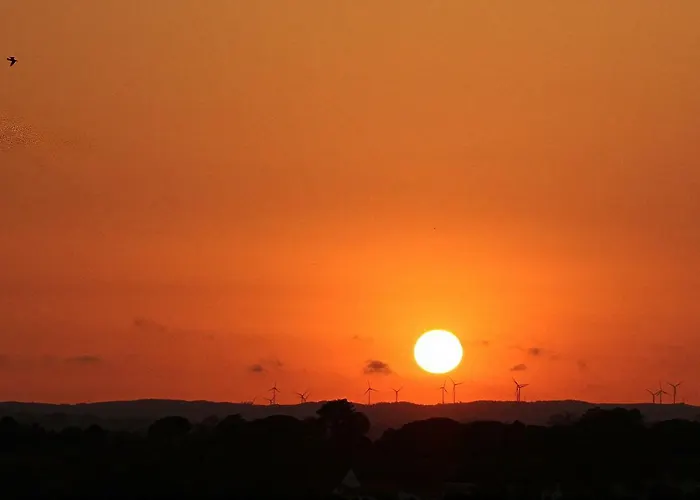 Lejlighed Torralta 601