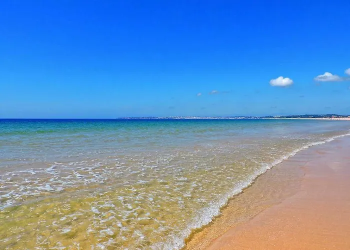 Torralta 601 * 알보르